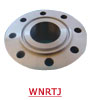Types of Flange - API Flanges